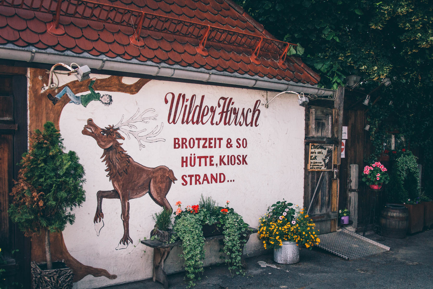 Wild, Wilder, Wilder Hirsch! – ©wunderland media GmbH