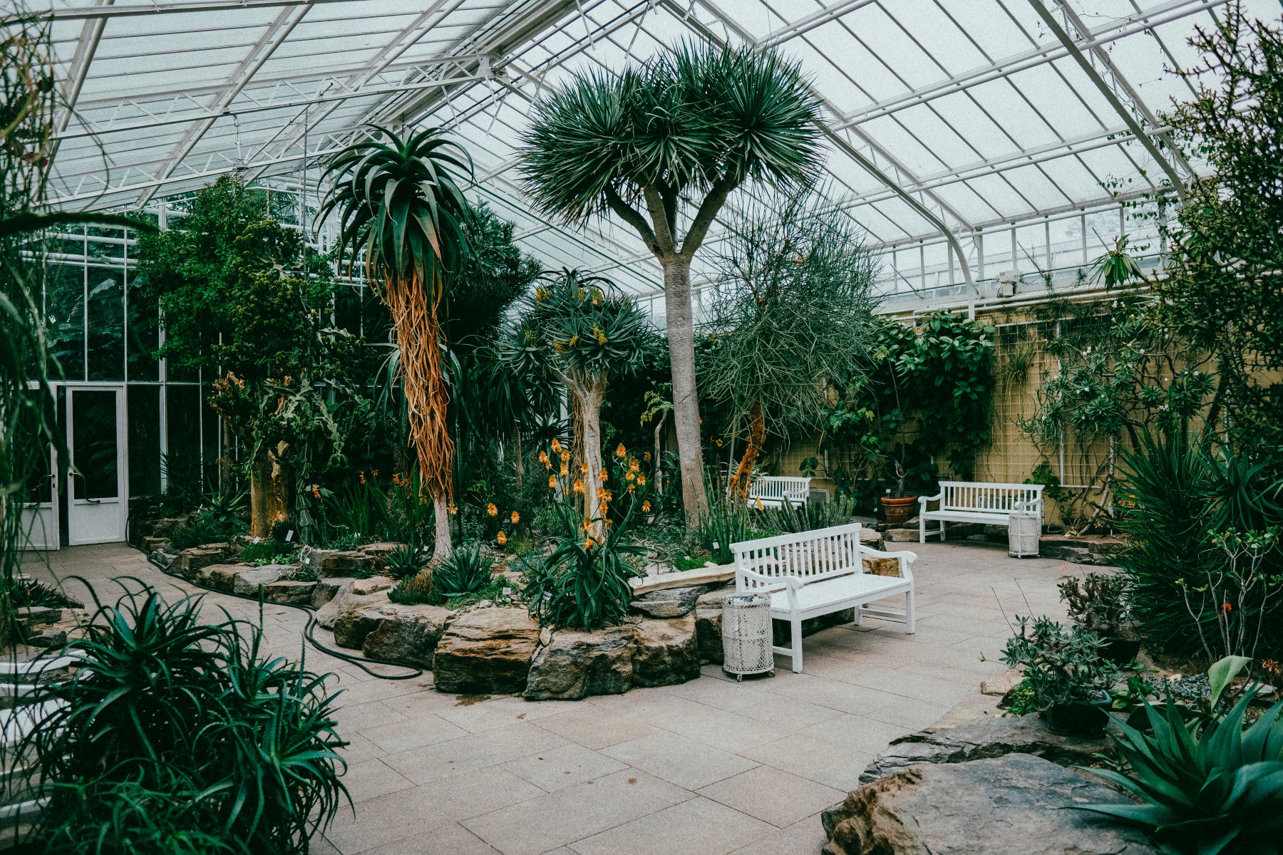 Geheimtipp Muenchen Top7 Herbst Blues 3 Botanischer Garten – ©Marcel Heil/Unsplash