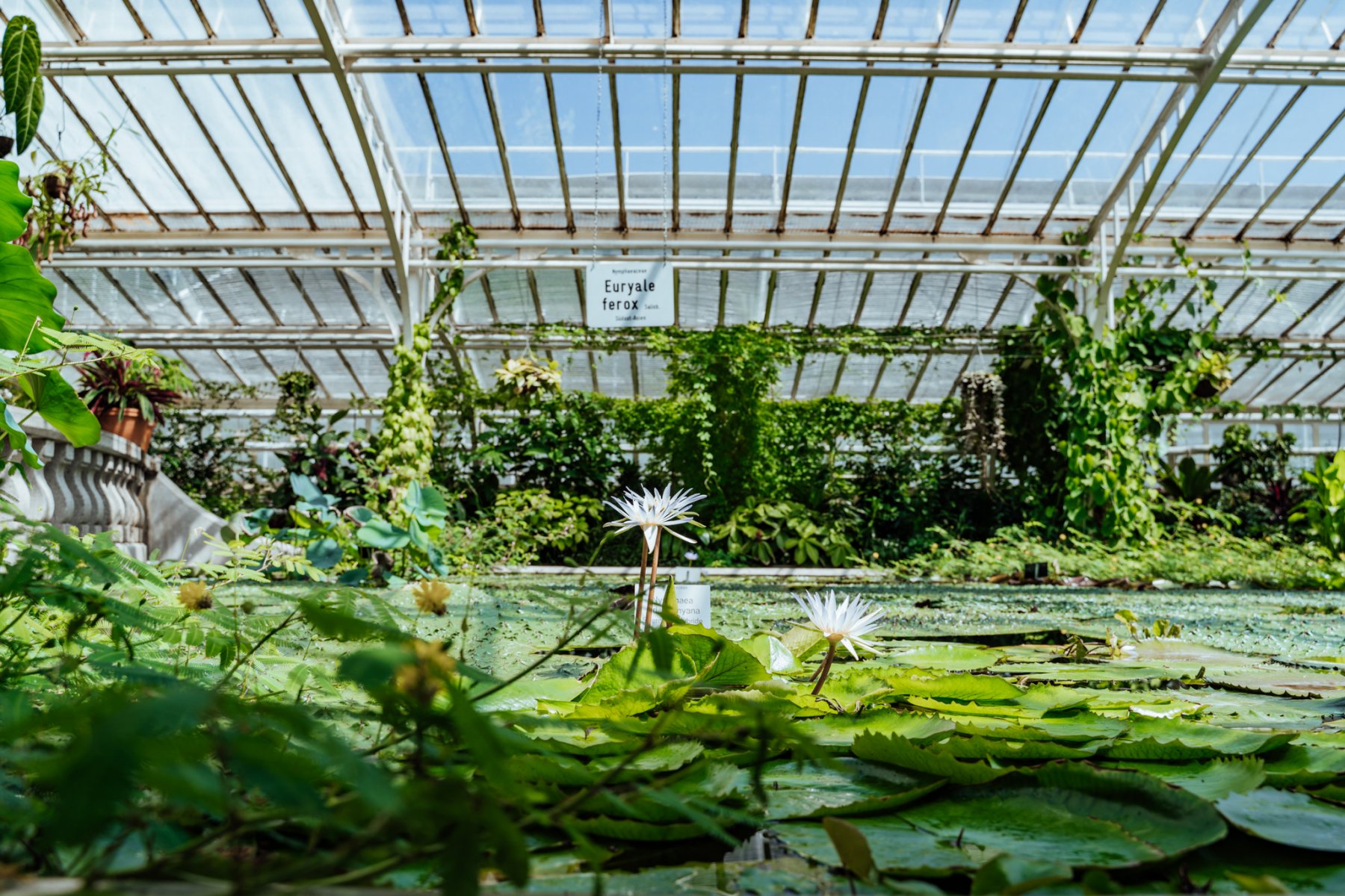 Geheimtipp Muenchen Botanischen Garten16 – ©wunderland media GmbH