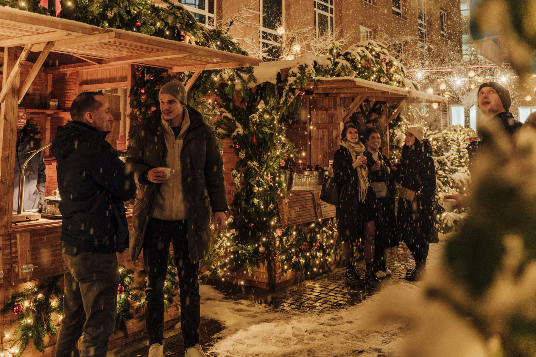 Winterwonderland Juliet Rose