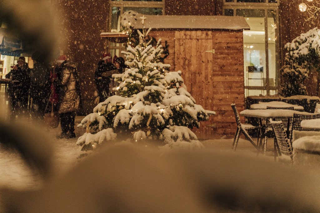 Winterwonderland Juliet Rose