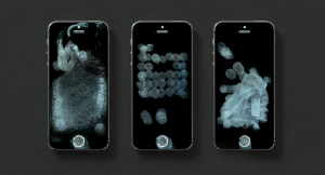 Chamberlain Julia Toucharchive