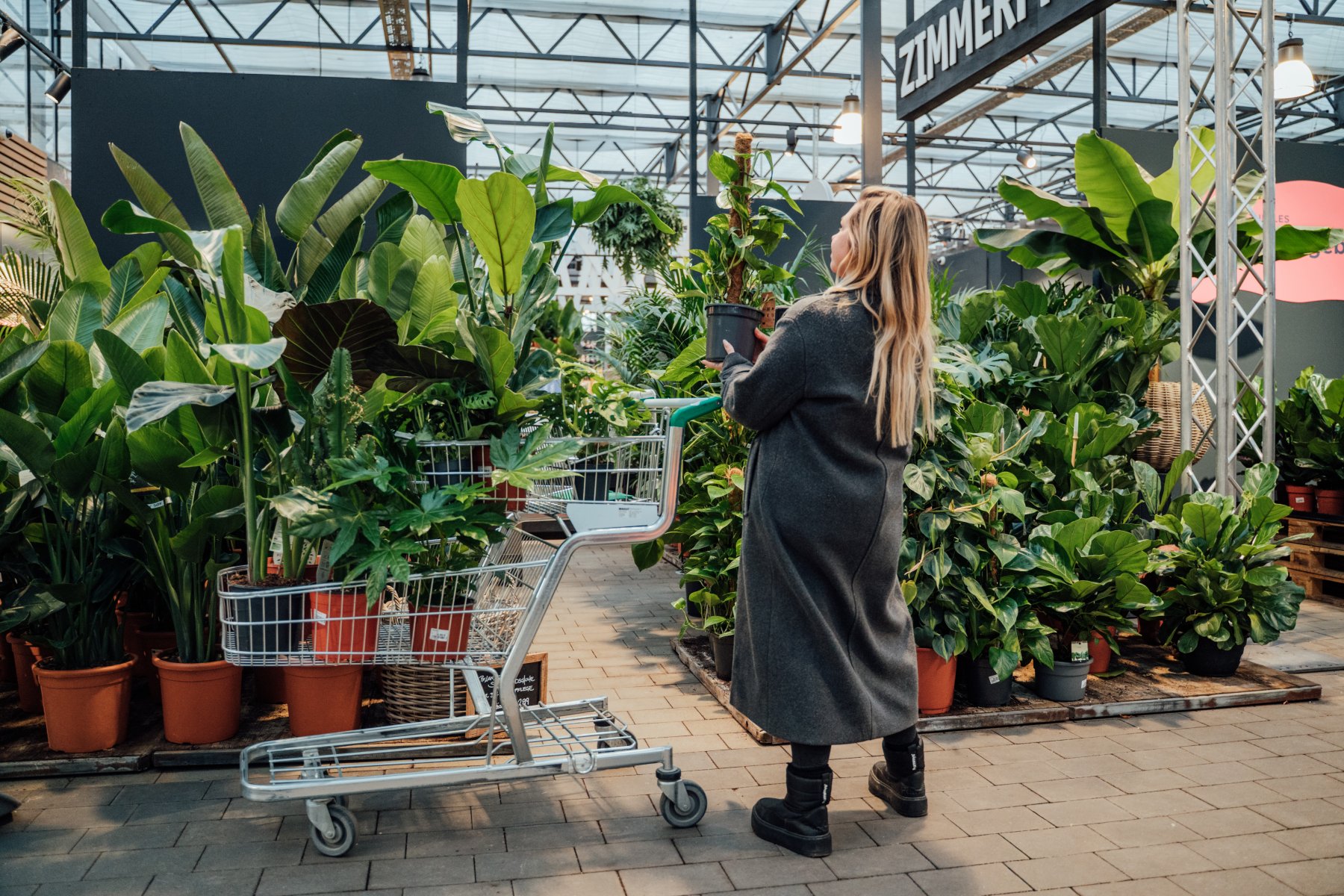 Geheimtipp Muenchen Gartencenter Kiefl Zimmerpflanzen 14