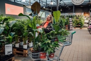 Geheimtipp Muenchen Gartencenter Kiefl Zimmerpflanzen 17