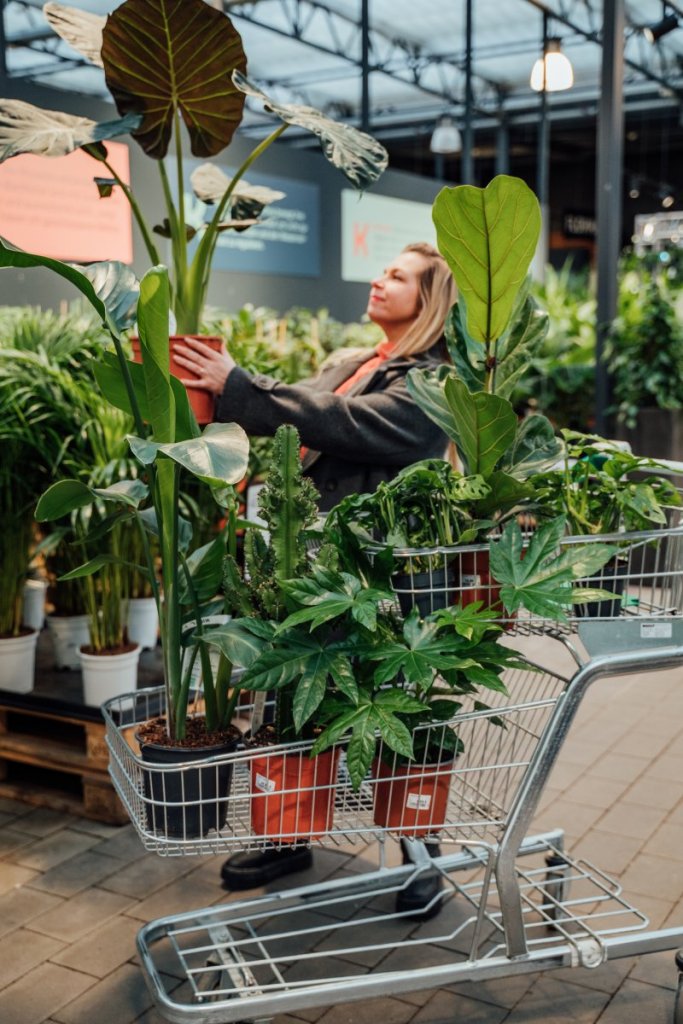 Geheimtipp Muenchen Gartencenter Kiefl Zimmerpflanzen 22
