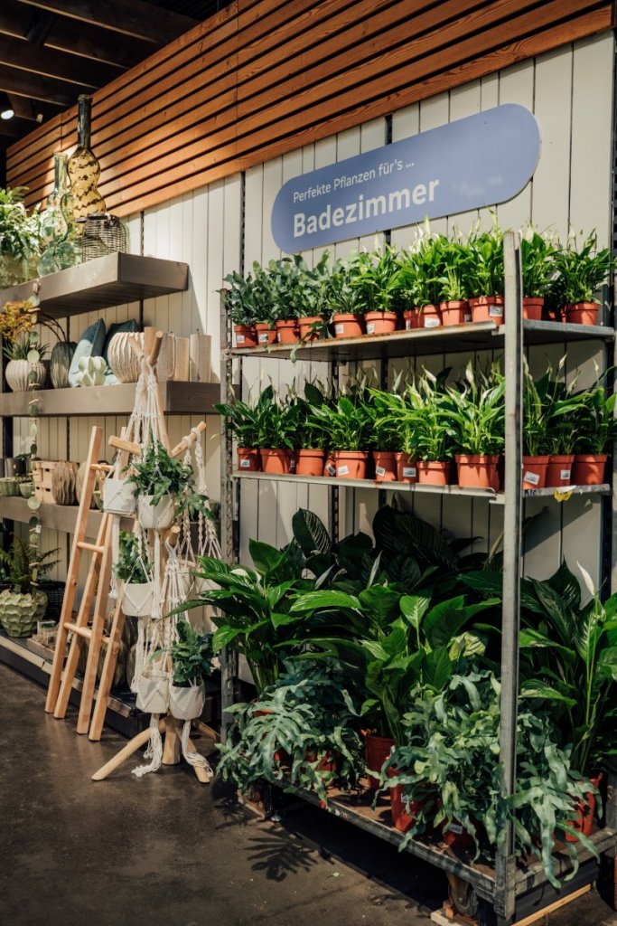 Geheimtipp Muenchen Gartencenter Kiefl Zimmerpflanzen 33