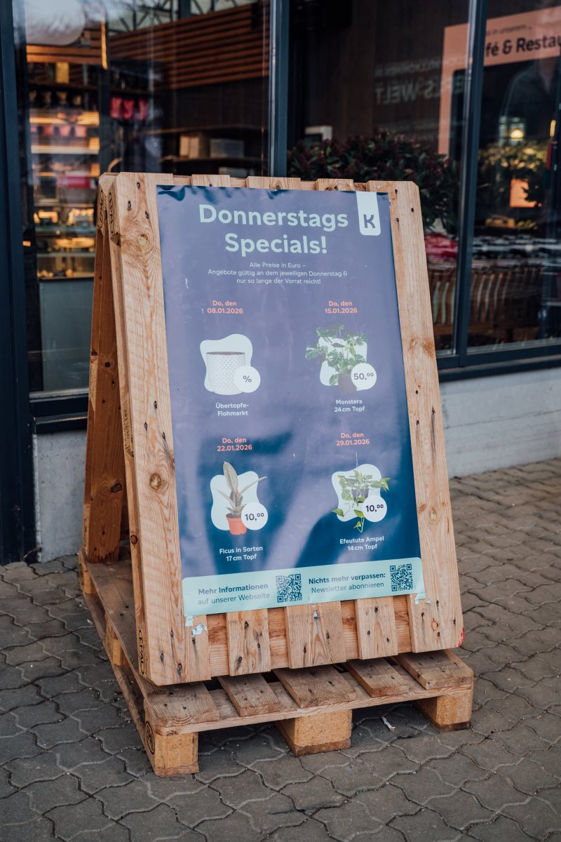 Geheimtipp Muenchen Gartencenter Kiefl Zimmerpflanzen 69