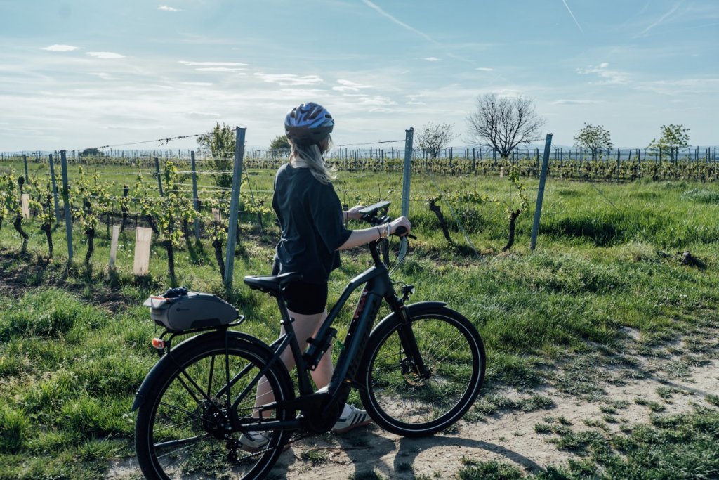 Geheimtipp Muenchen Burgenland Geheimtipps 2026 1538