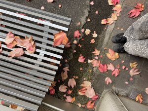 Img 3531